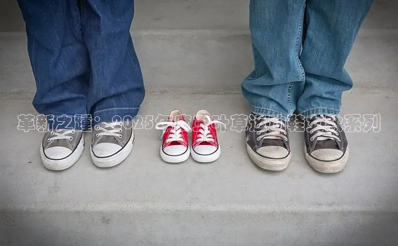 尊龙卡z6官方网站入口