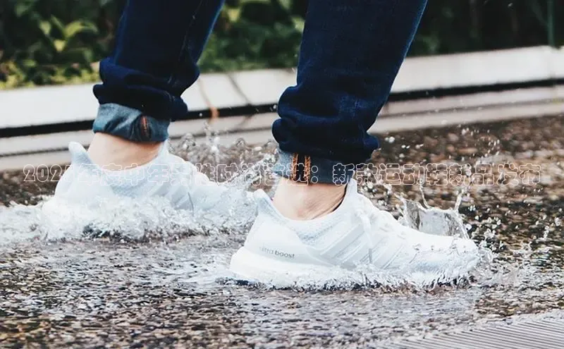 尊龙卡z6官方网站入口